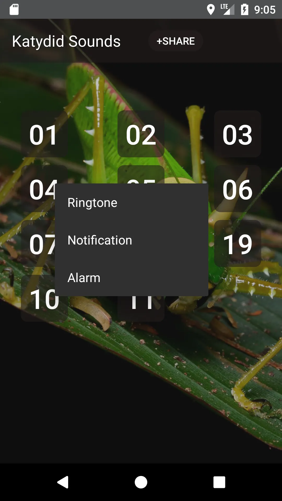 Katydid sounds | Indus Appstore | Screenshot