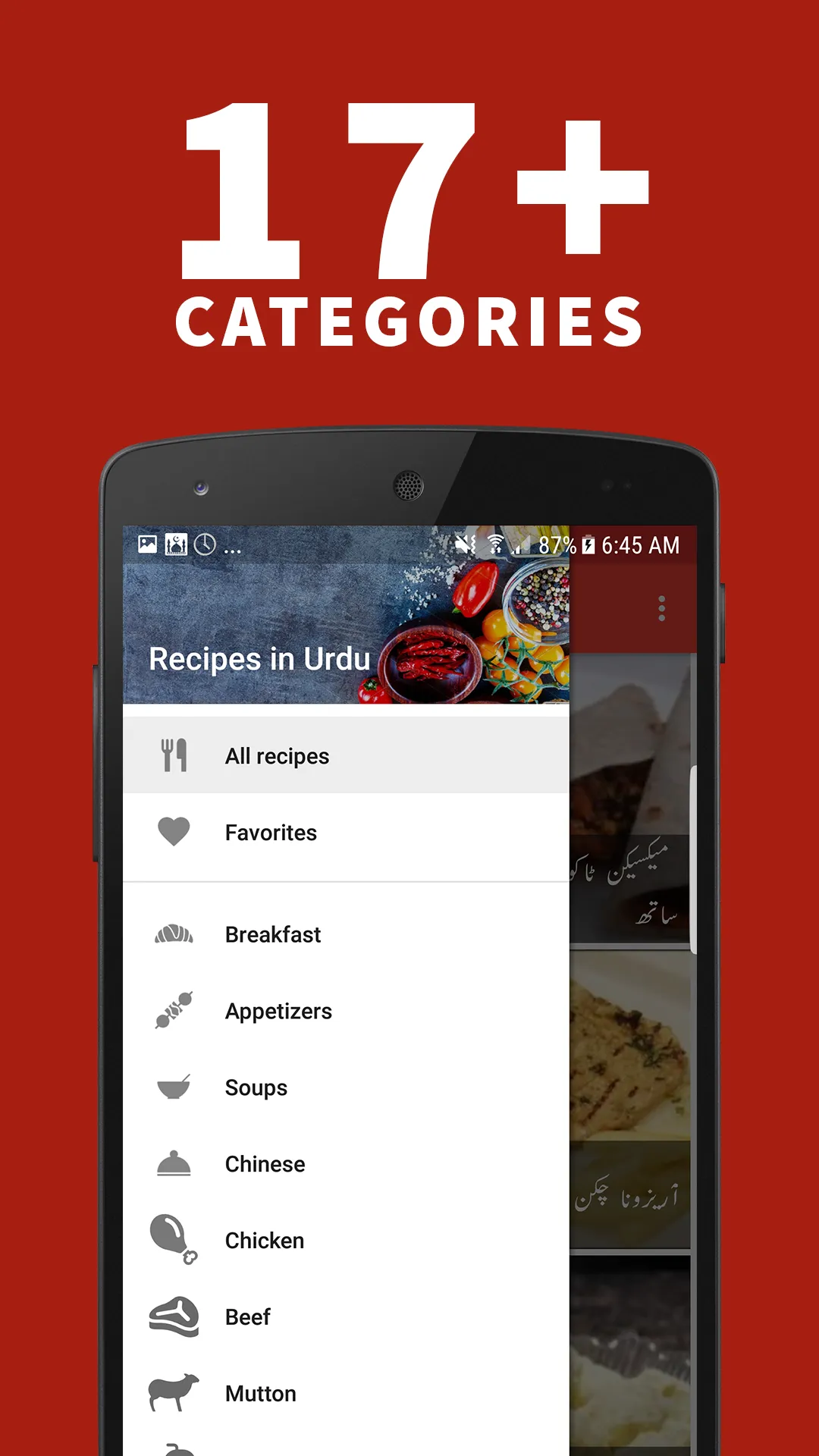 Recipes in Urdu (Offline) | Indus Appstore | Screenshot