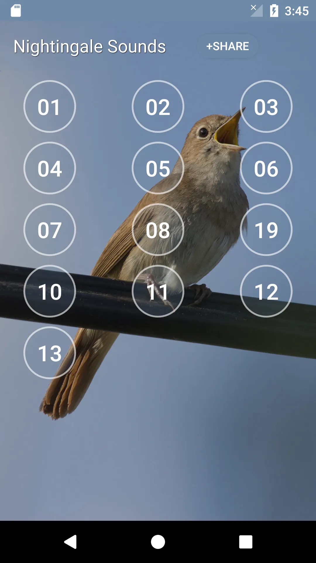 Nightingale Bird Sounds | Indus Appstore | Screenshot