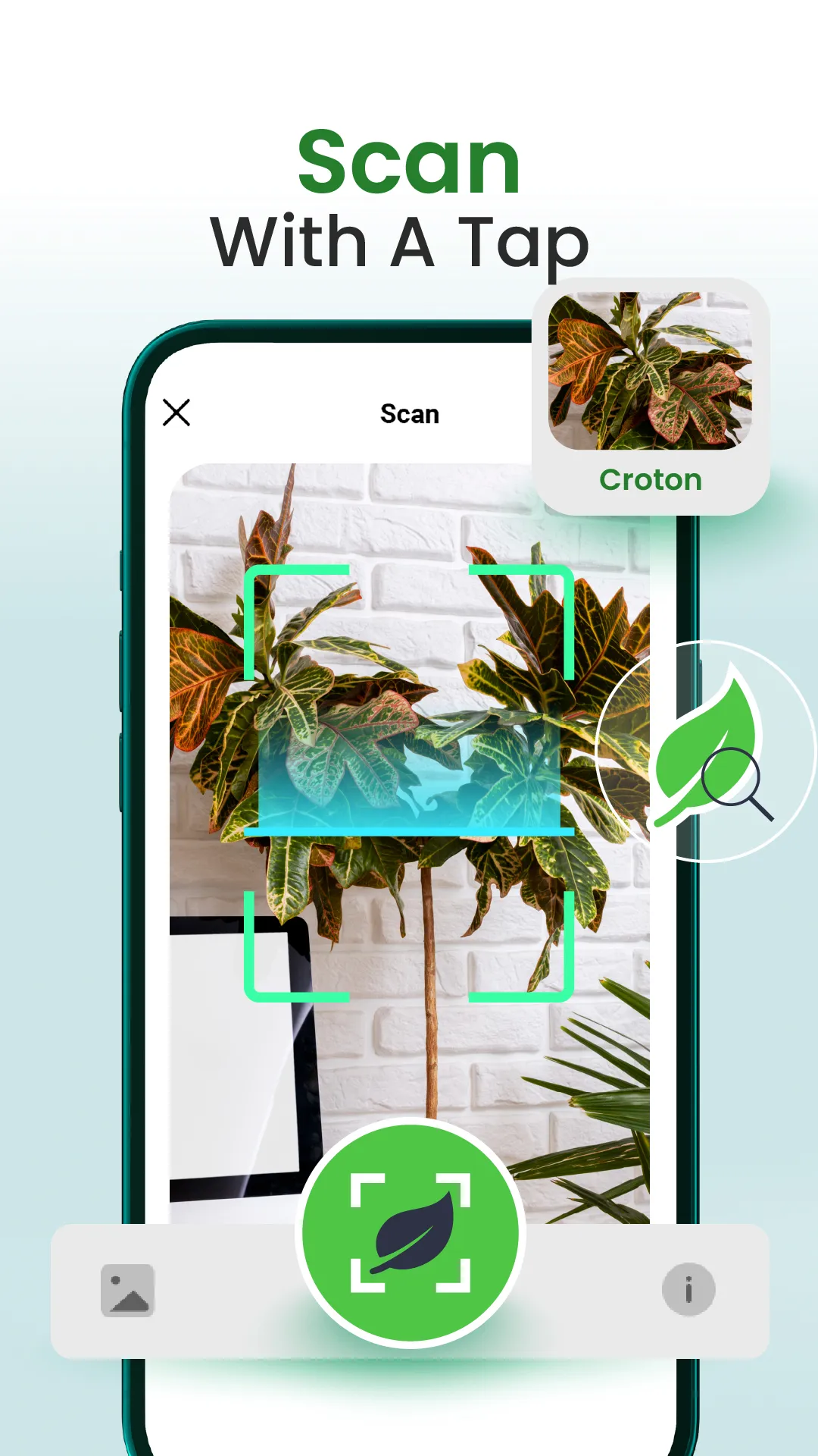 Florify: AI Plant Identifier | Indus Appstore | Screenshot