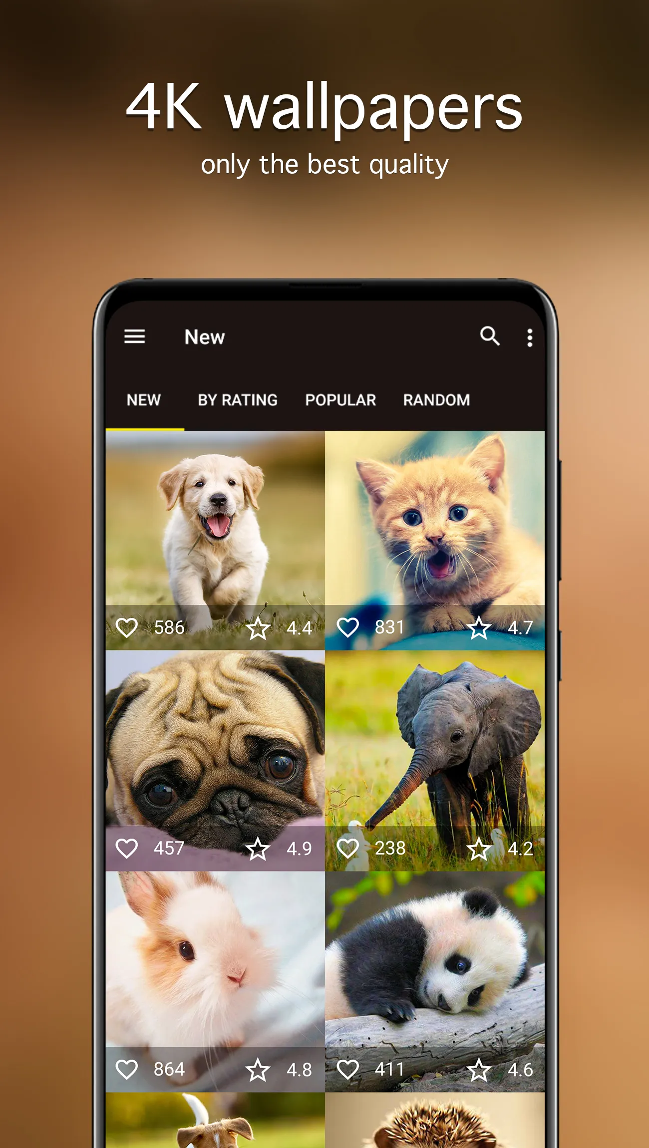 Cute Animal Wallpapers 4K | Indus Appstore | Screenshot