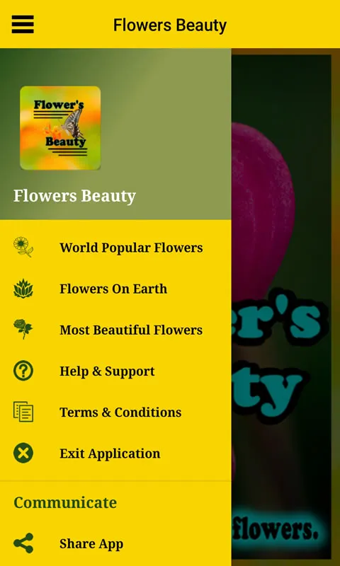 Flowers Beauty | Indus Appstore | Screenshot