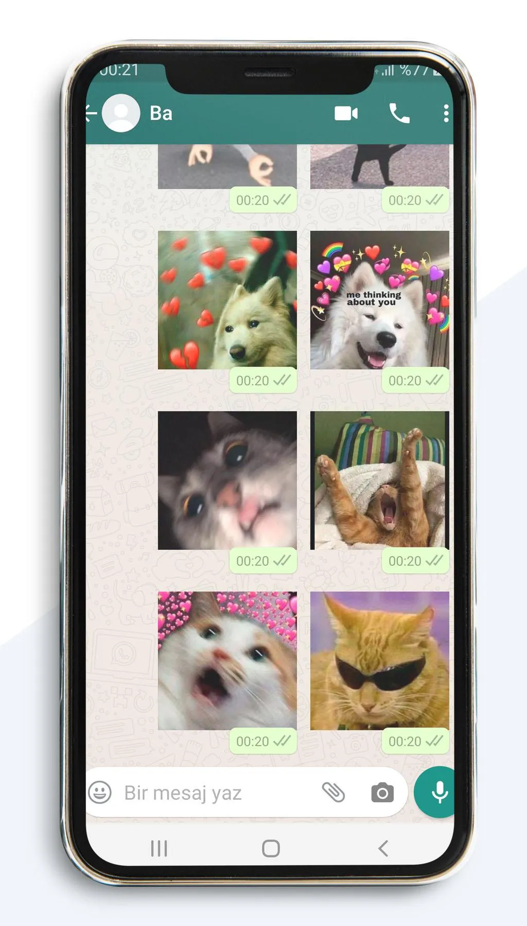 Animal Stickers: Dogs, Cats | Indus Appstore | Screenshot