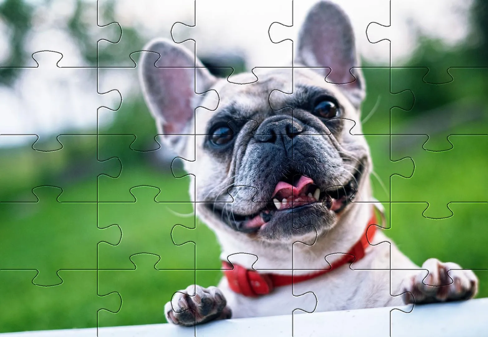 Dogs jigsaw puzzles | Indus Appstore | Screenshot