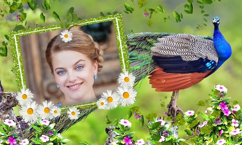 Peacock Photo Frames | Indus Appstore | Screenshot