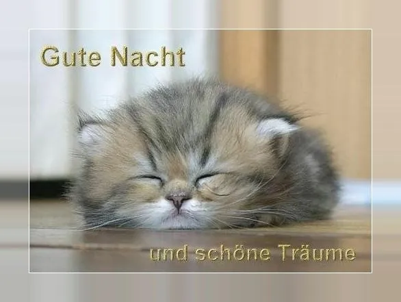 Gute Nacht Bilder für Whatsapp | Indus Appstore | Screenshot