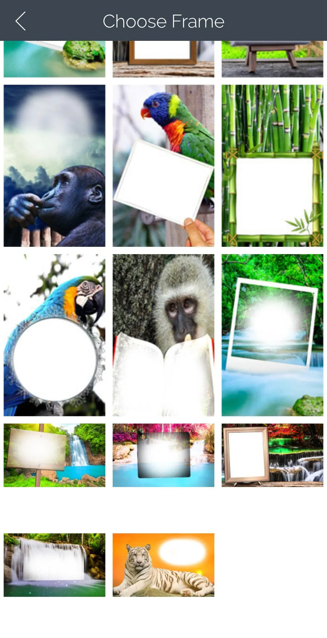 Jungle Photo Frames | Indus Appstore | Screenshot