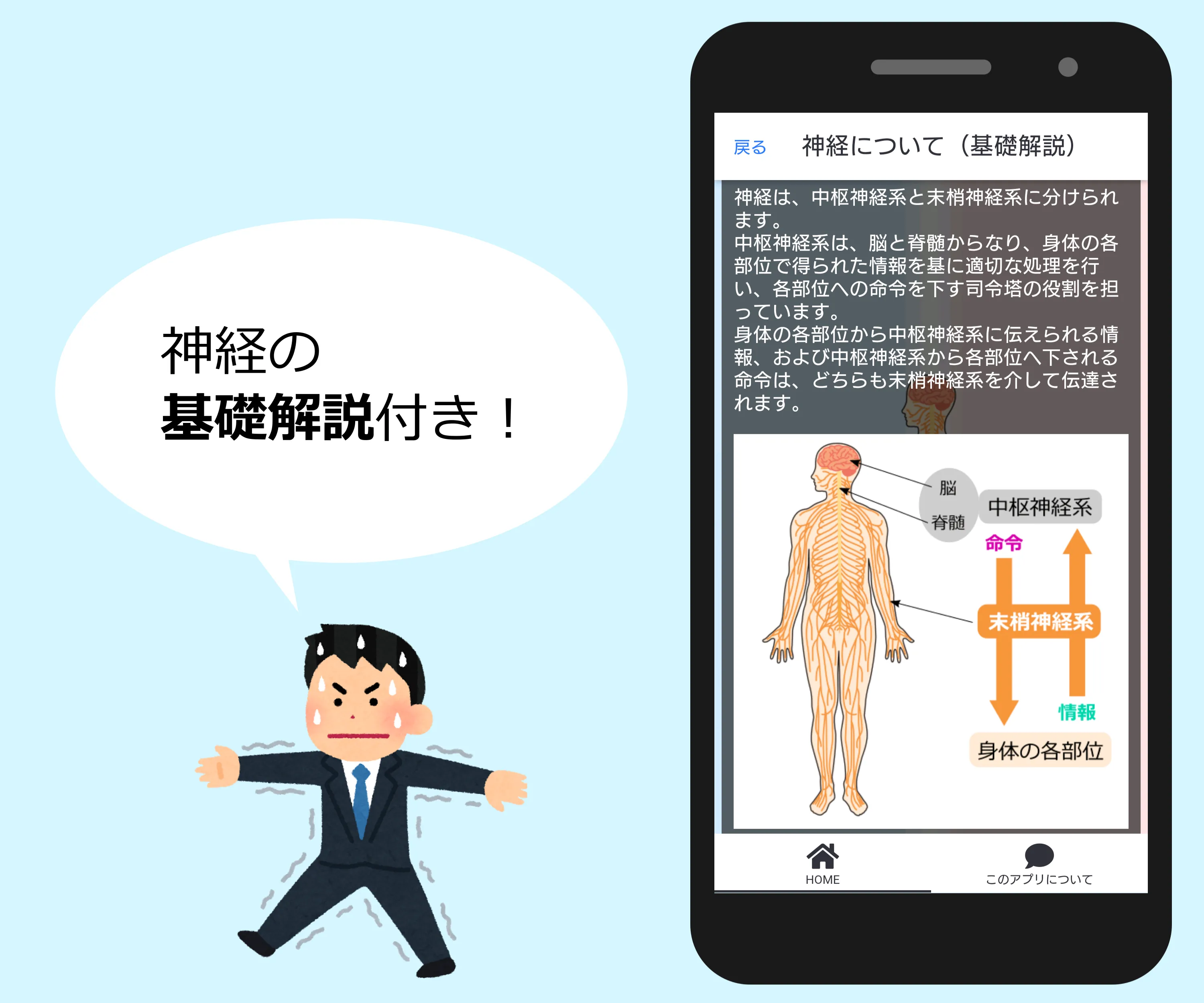 副交感神経・交感神経マスター 語呂合わせで覚える | Indus Appstore | Screenshot