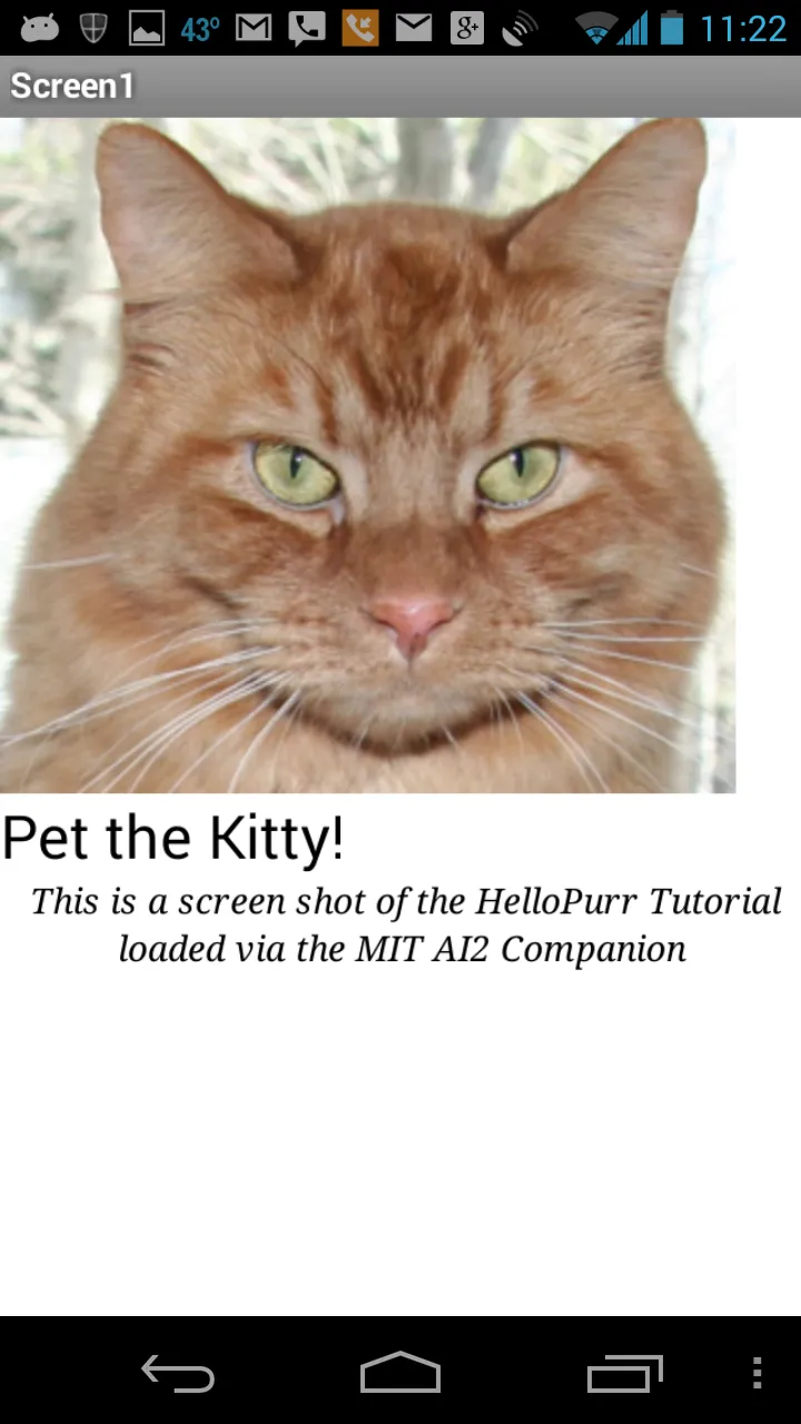 MIT AI2 Companion | Indus Appstore | Screenshot