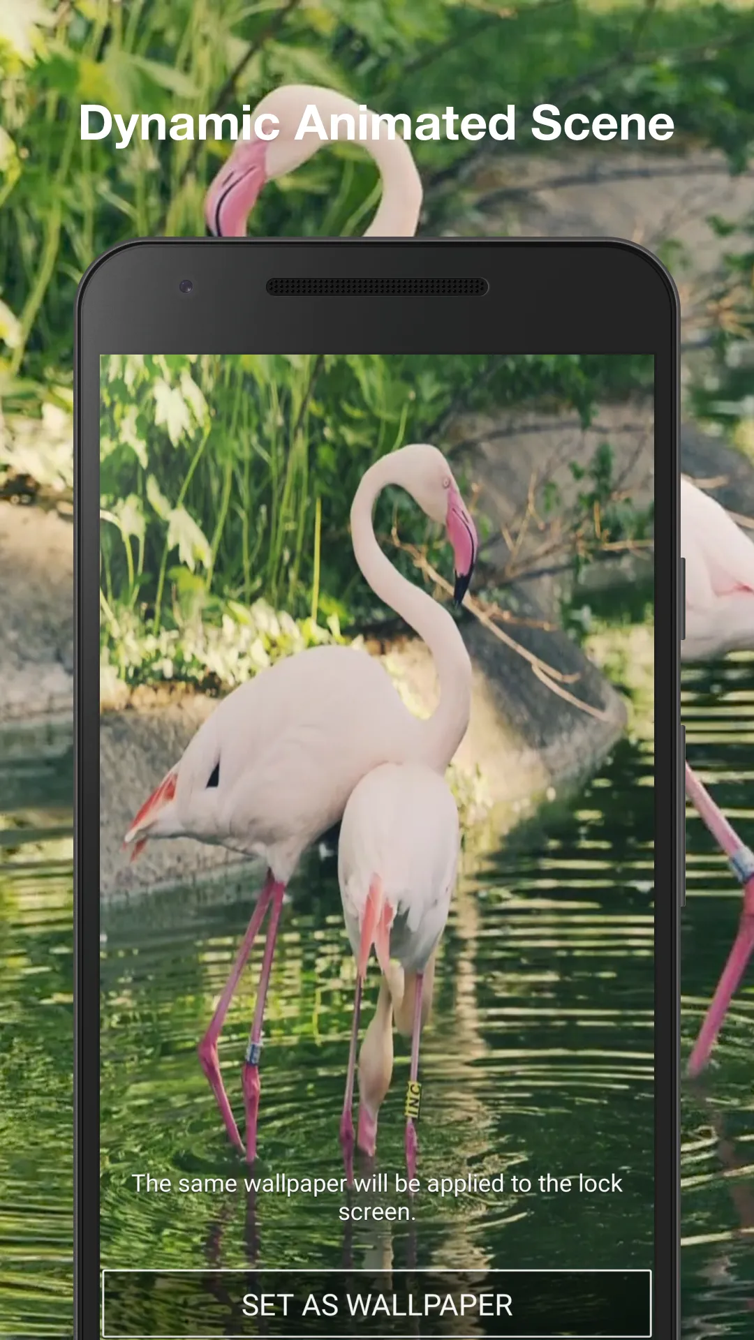 Flamingo Live Wallpaper | Indus Appstore | Screenshot