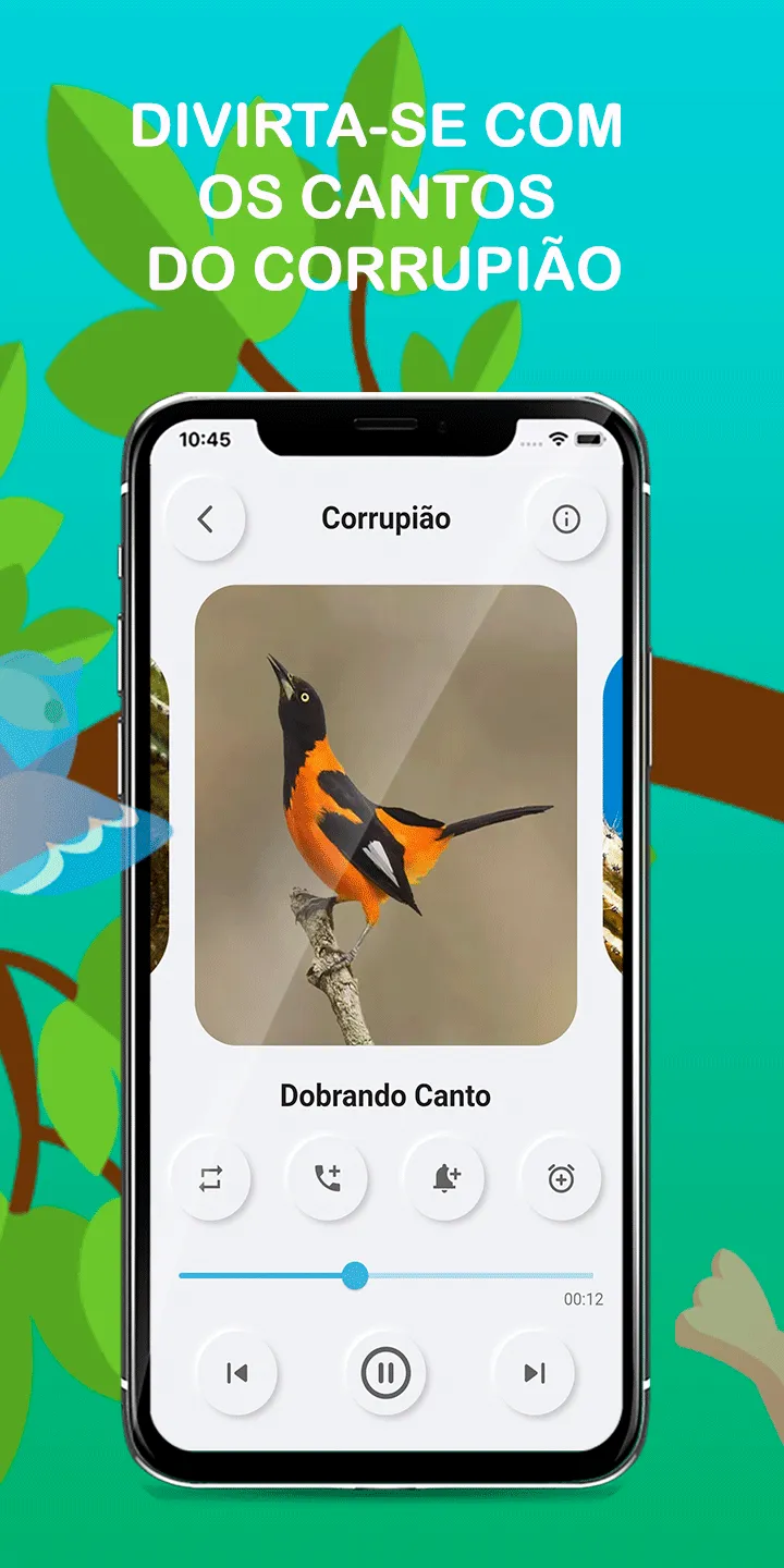 Bird sounds suffered Brazil | Indus Appstore | Screenshot