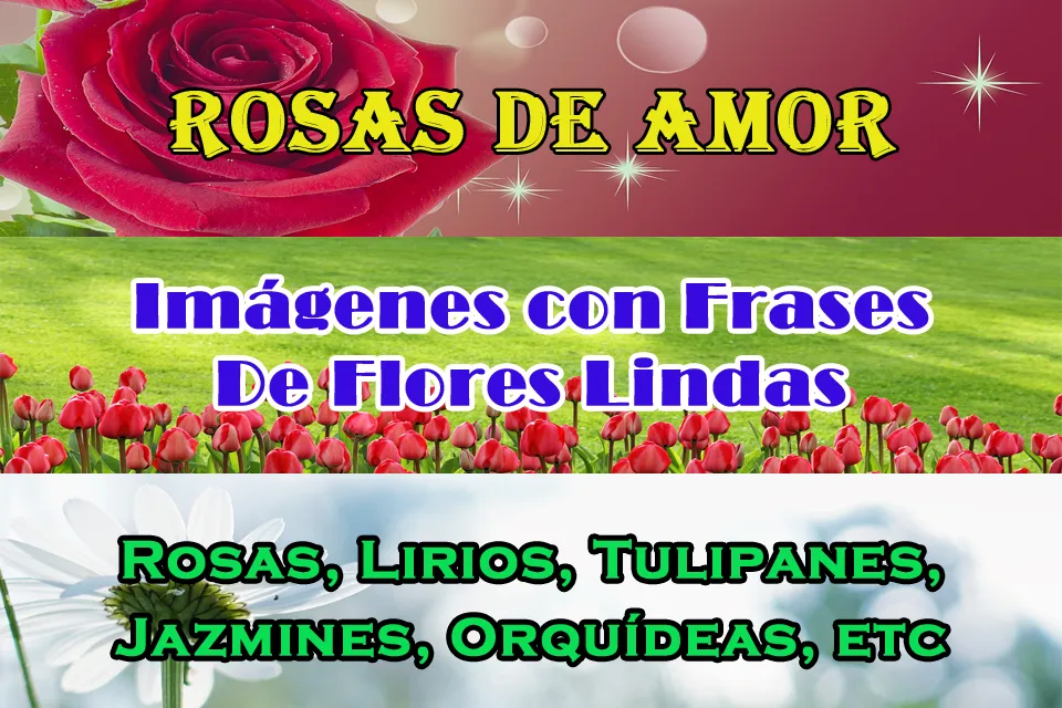 Flores Con Frases | Indus Appstore | Screenshot