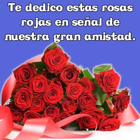 Rosas con Frases Bonitas | Indus Appstore | Screenshot