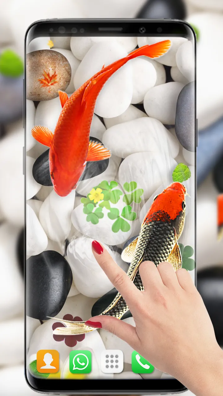 Koi Fish Live Wallpapers HD | Indus Appstore | Screenshot