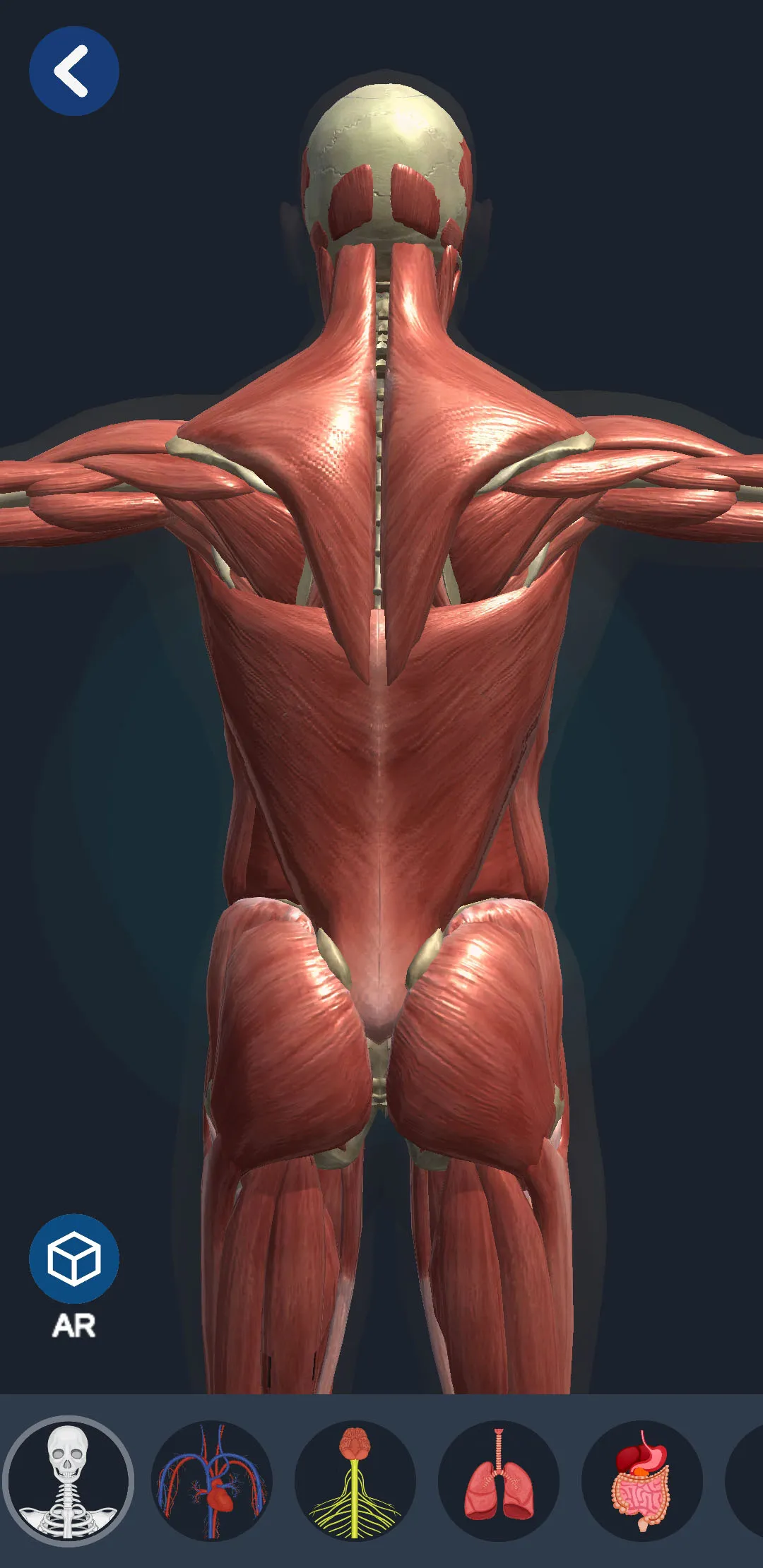 Human Anatomy 3D | Indus Appstore | Screenshot