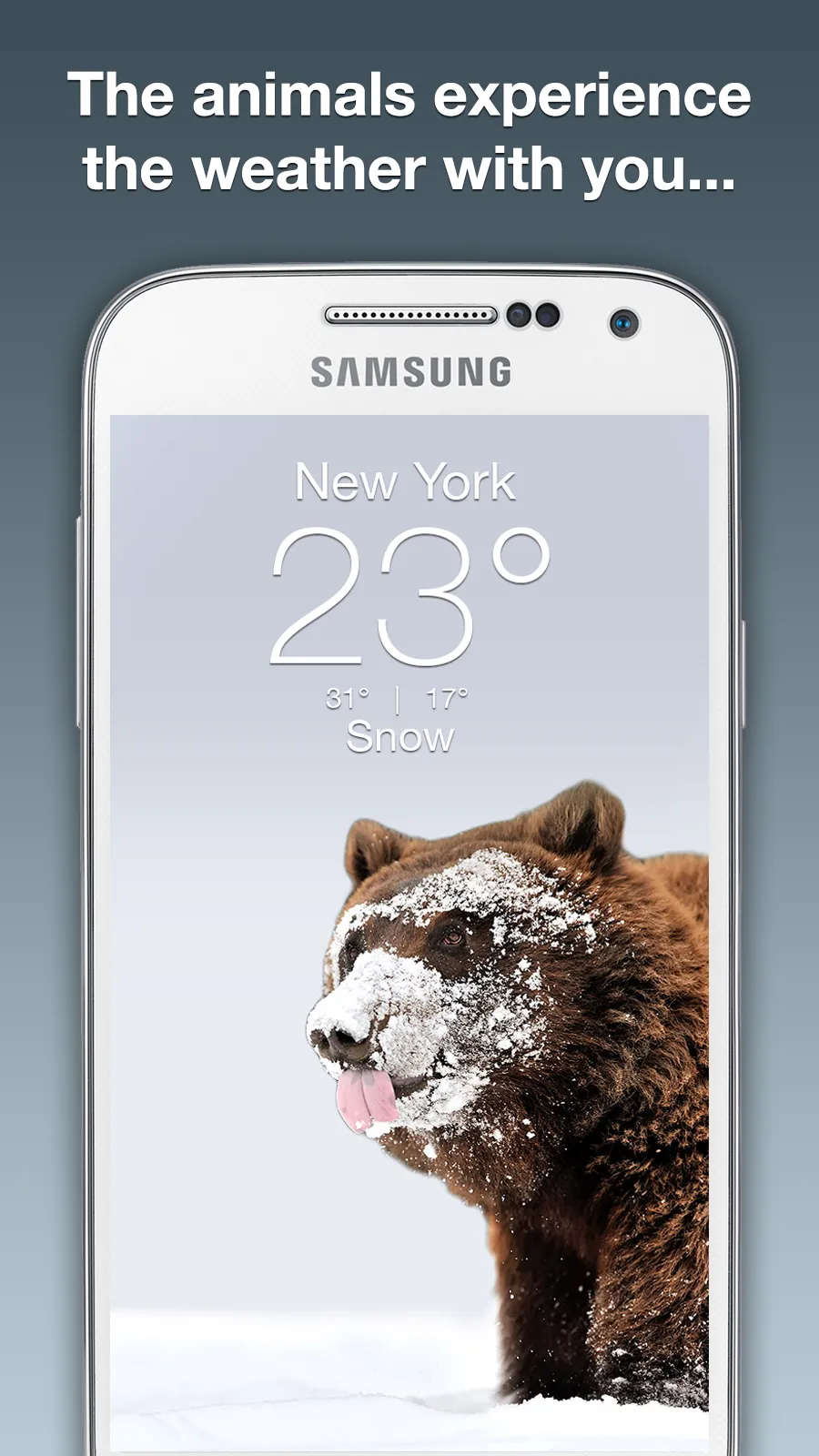 Wildlife Weather | Indus Appstore | Screenshot