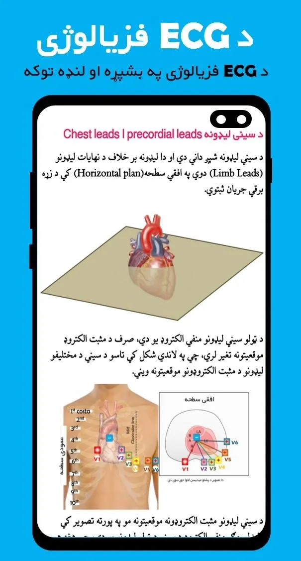 Pashto ECG | Indus Appstore | Screenshot