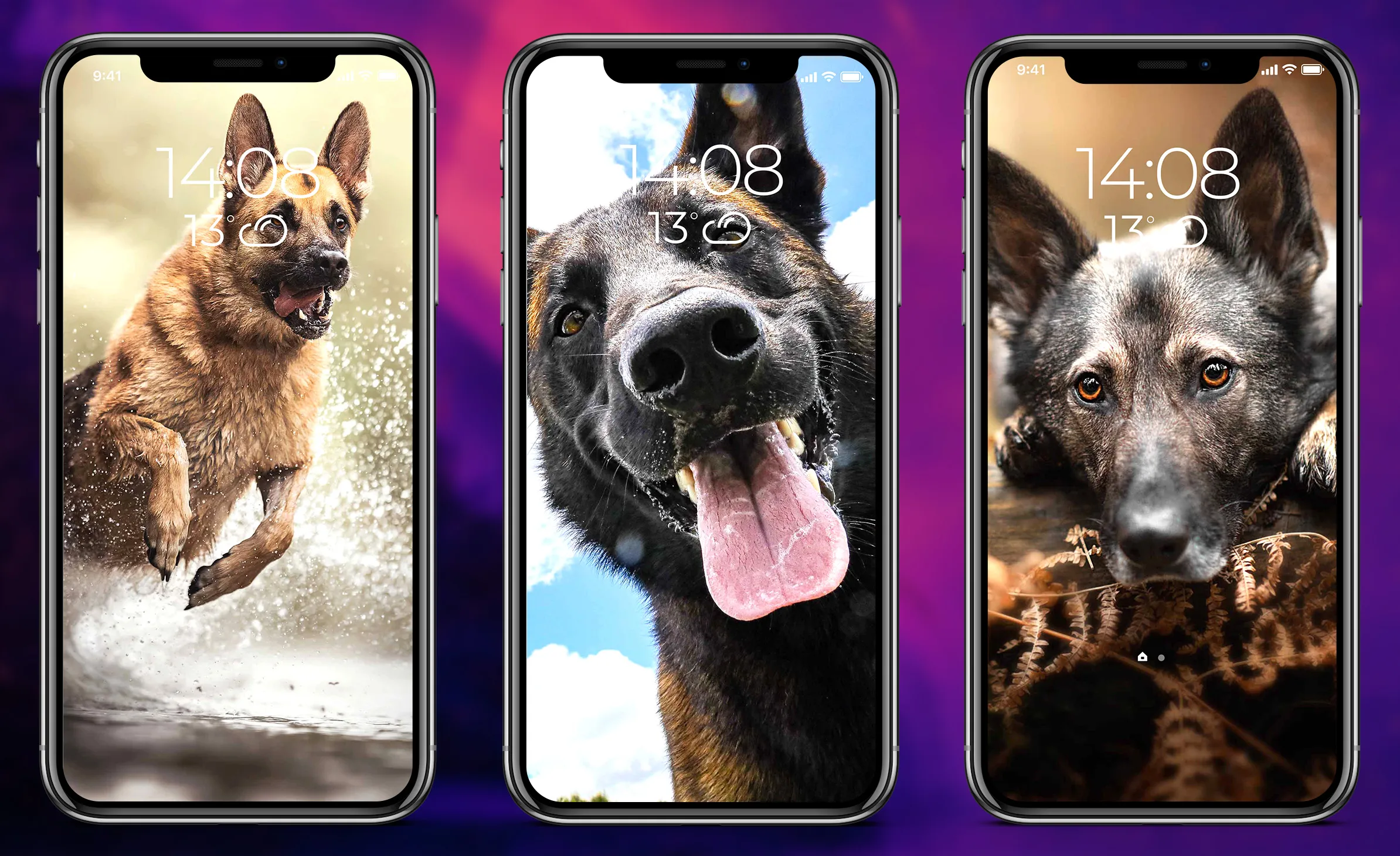 German Shepherd Wallpapers | Indus Appstore | Screenshot