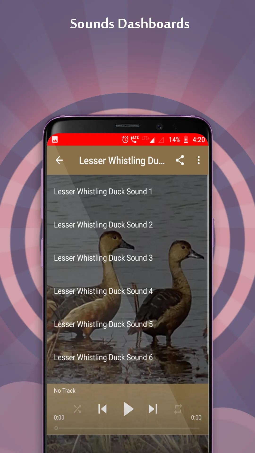 Lesser Whistling Duck Sounds | Indus Appstore | Screenshot