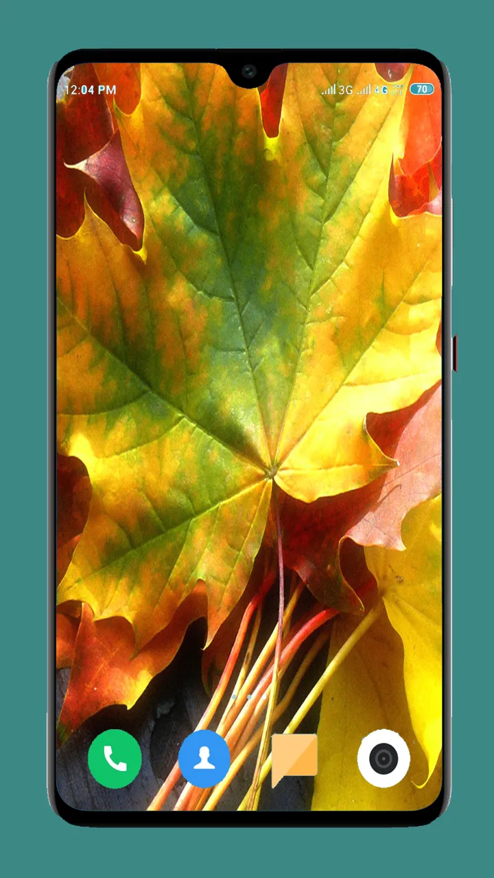 Autumn Wallpaper 4K | Indus Appstore | Screenshot