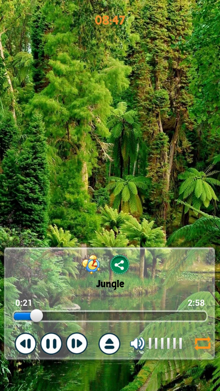 Nature Sounds Relax (offline) | Indus Appstore | Screenshot