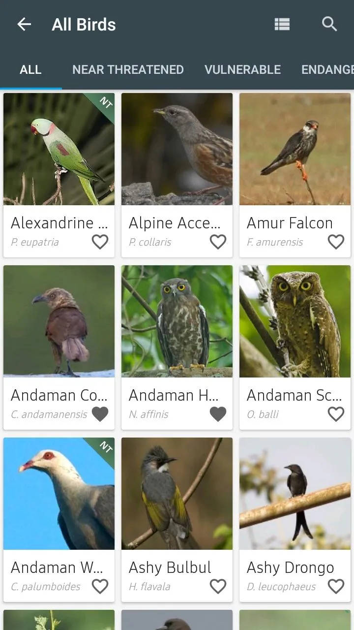 Indian Birds | Indus Appstore | Screenshot