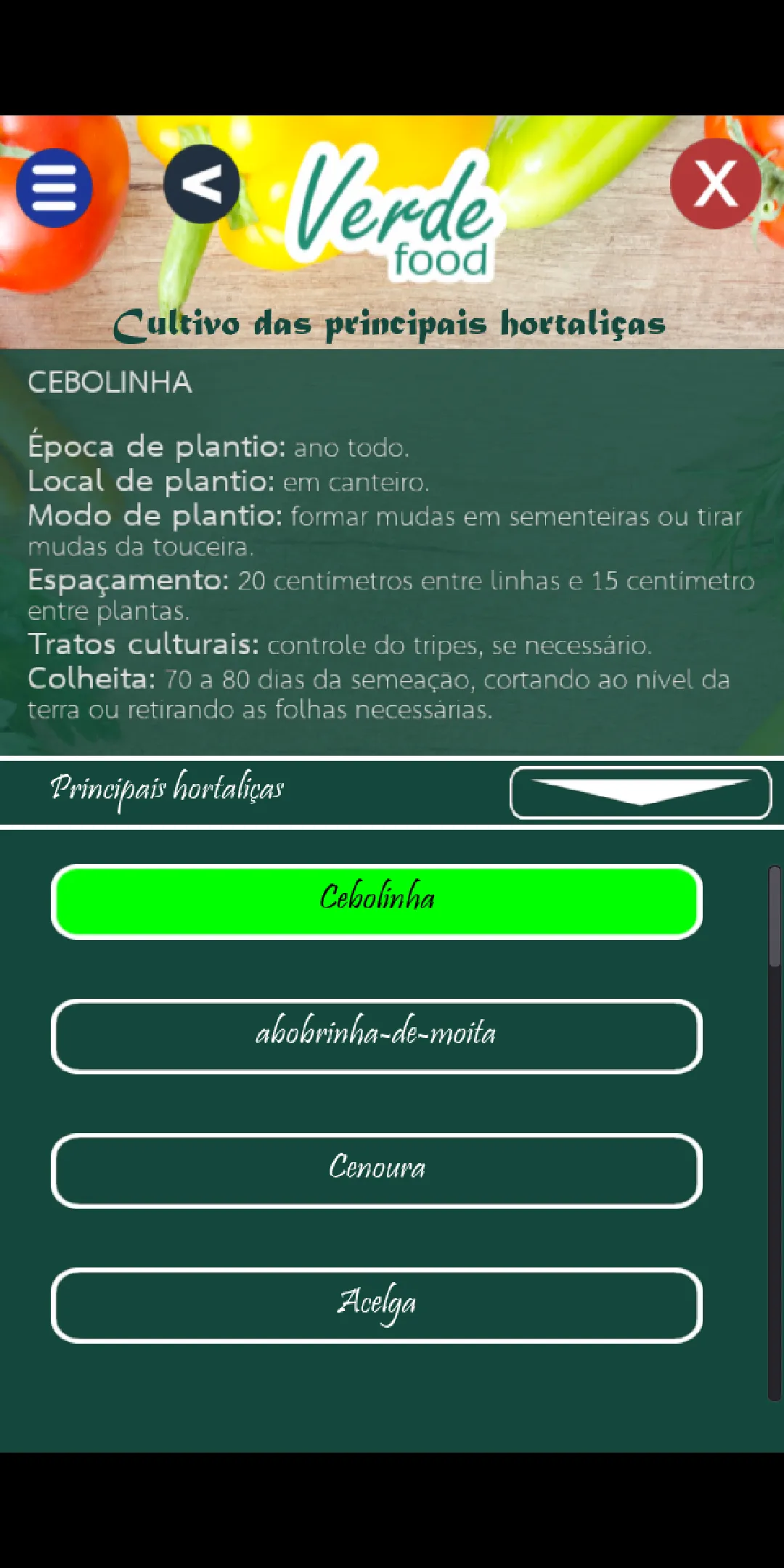 Verde Food | Indus Appstore | Screenshot