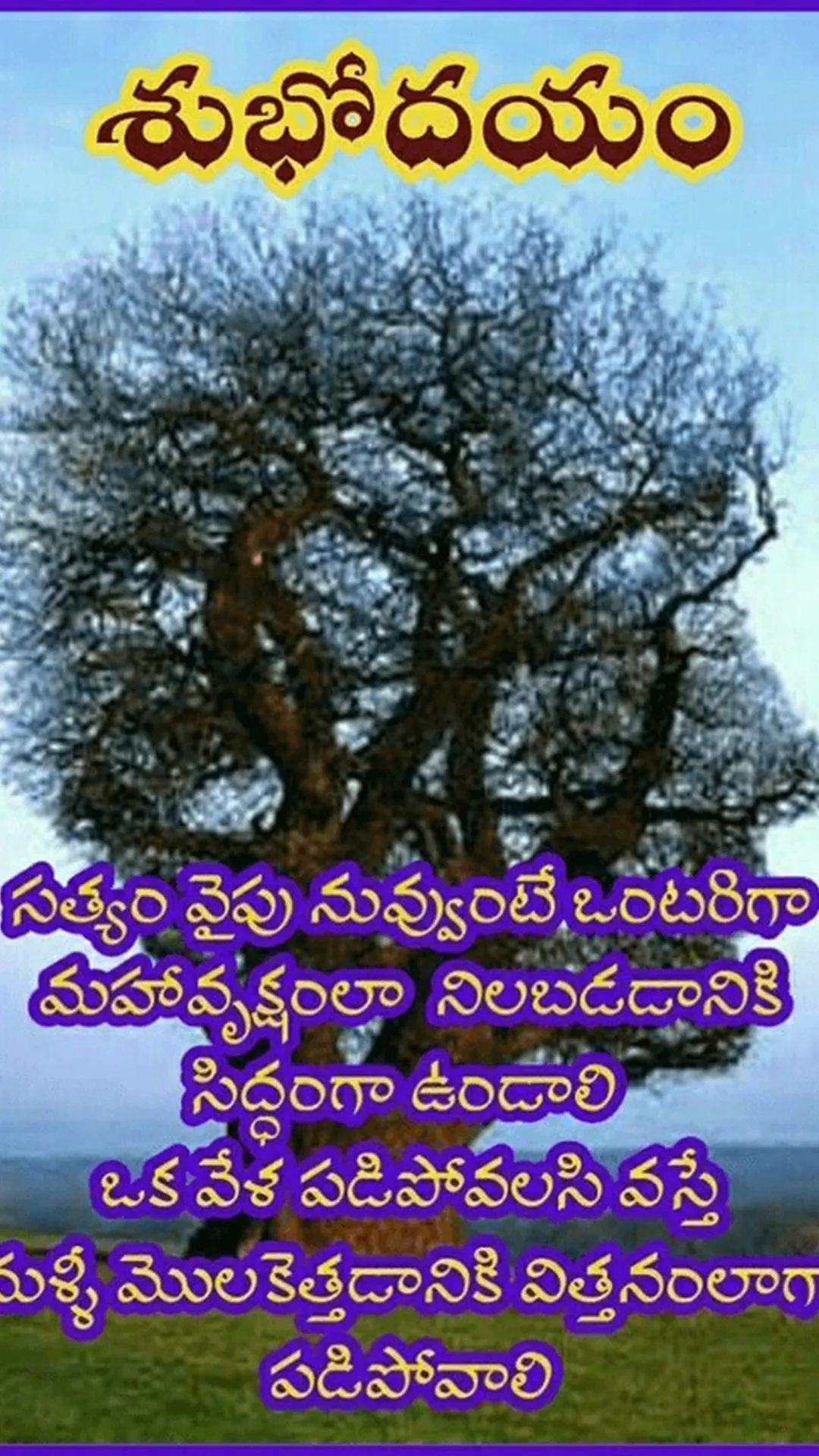 Telugu Morning NightWishes2024 | Indus Appstore | Screenshot