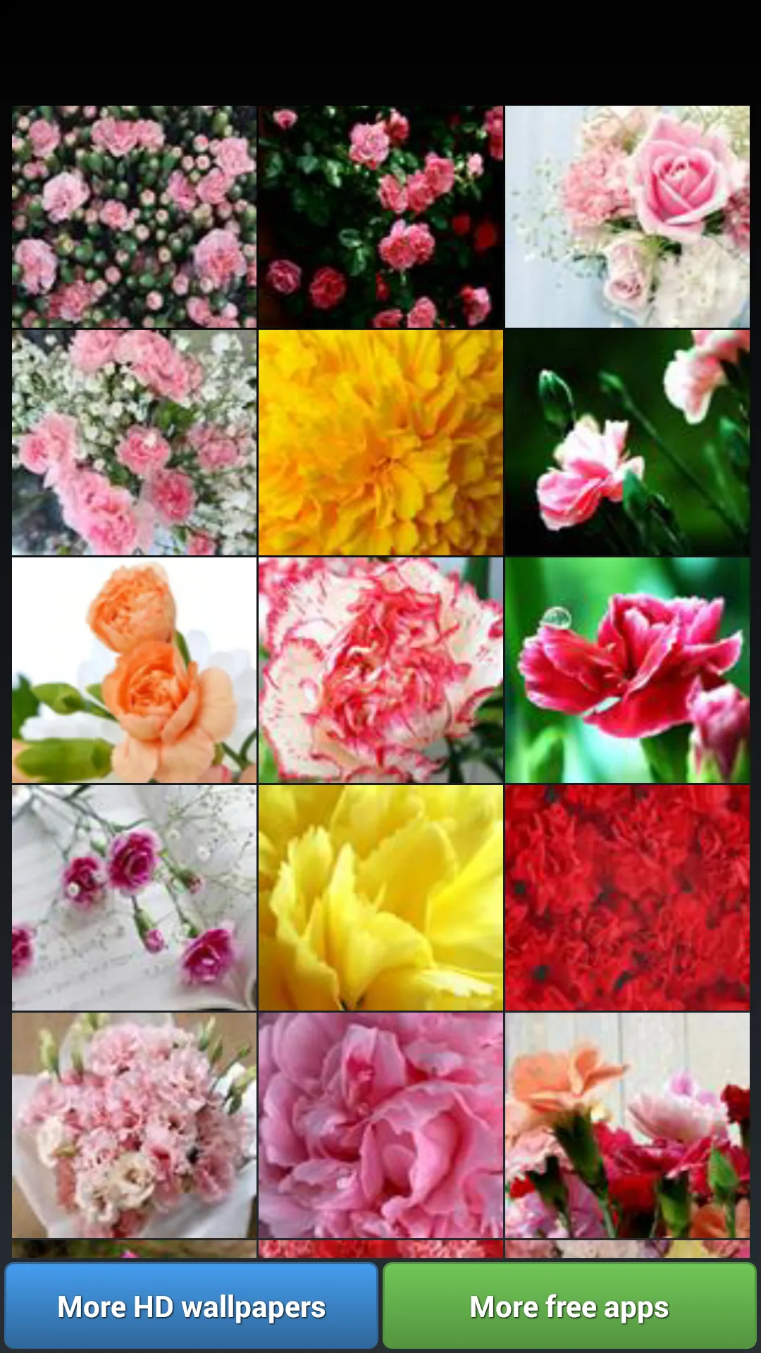 Carnation for Mum - Wallpapers | Indus Appstore | Screenshot