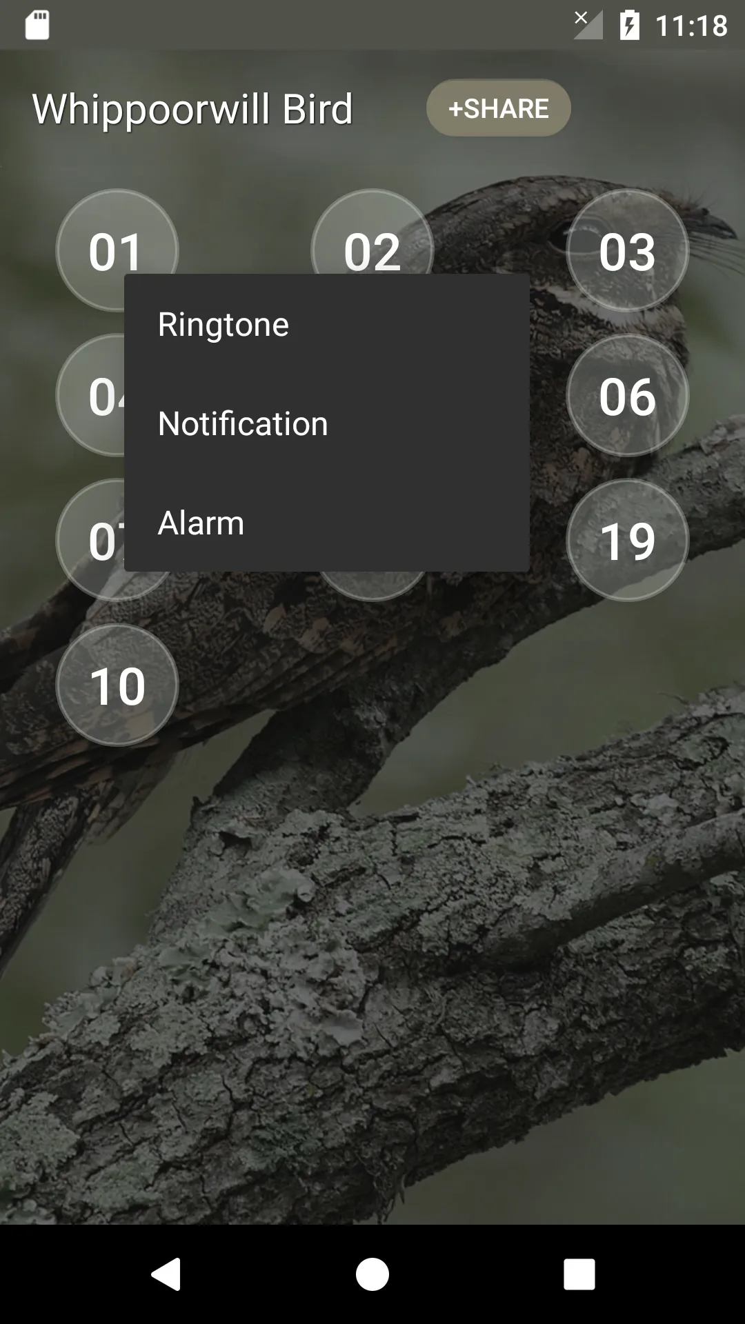 Whippoorwill bird sounds | Indus Appstore | Screenshot