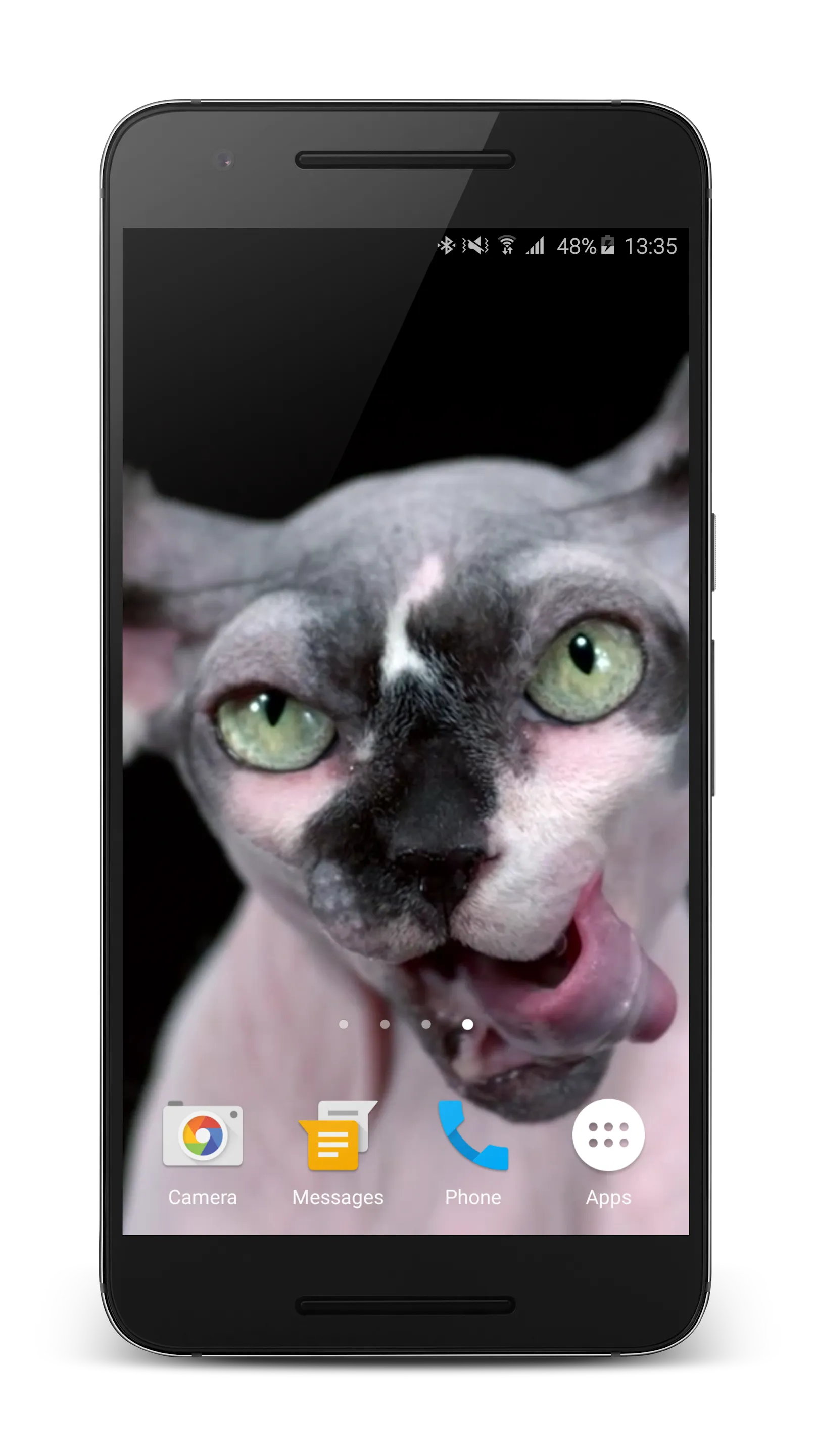 Sphynx Cat Live Wallpaper | Indus Appstore | Screenshot