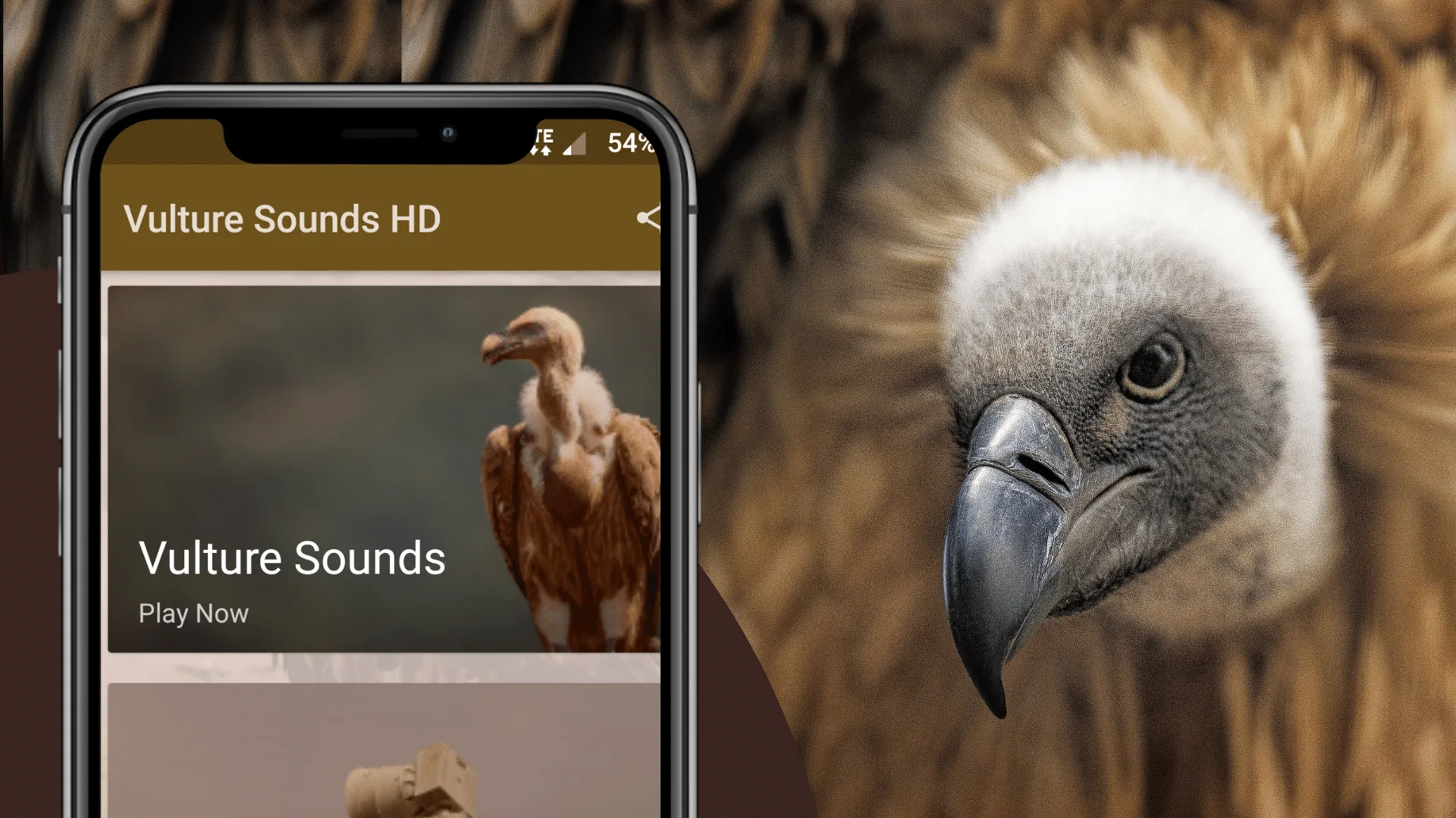 Vulture Sounds | Indus Appstore | Screenshot