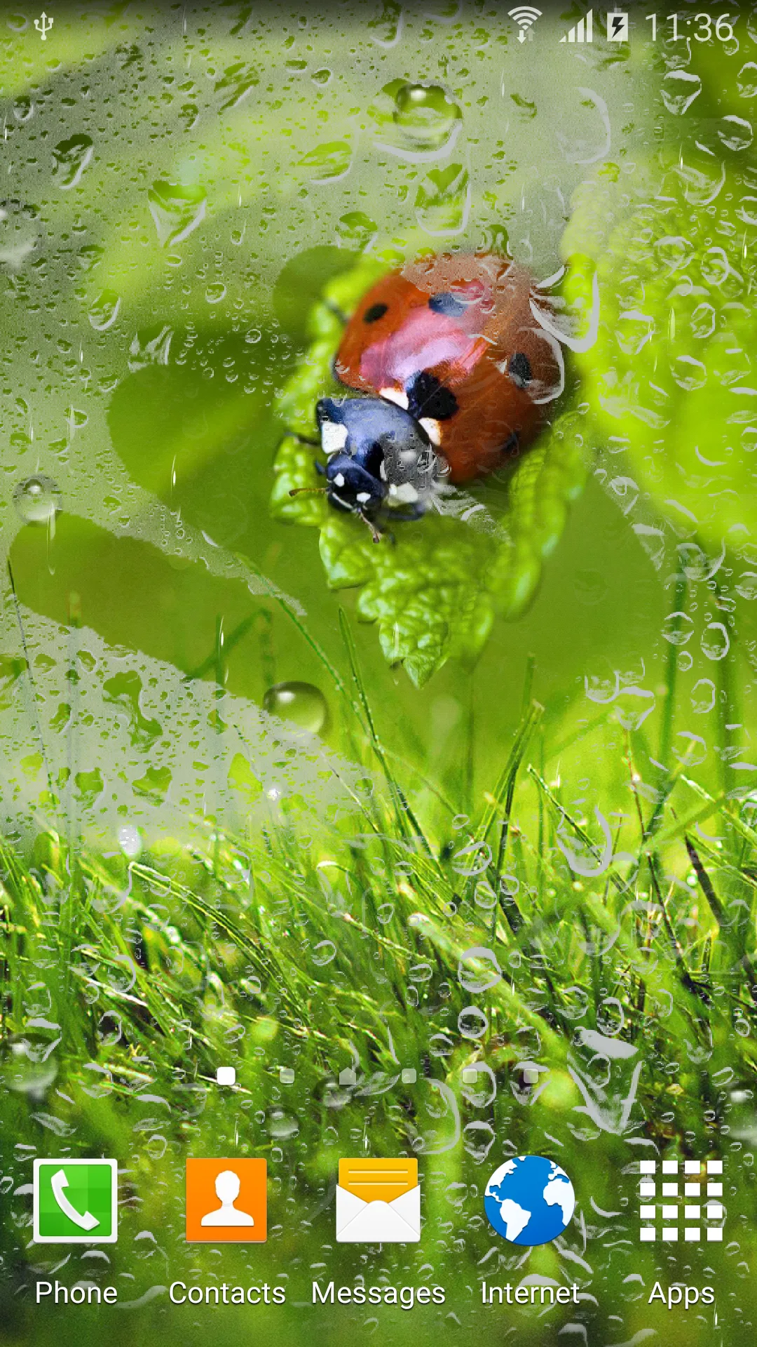 Macro Spring Live Wallpaper | Indus Appstore | Screenshot