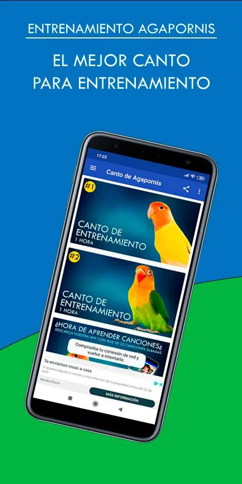 Cantos de Agapornis | Indus Appstore | Screenshot