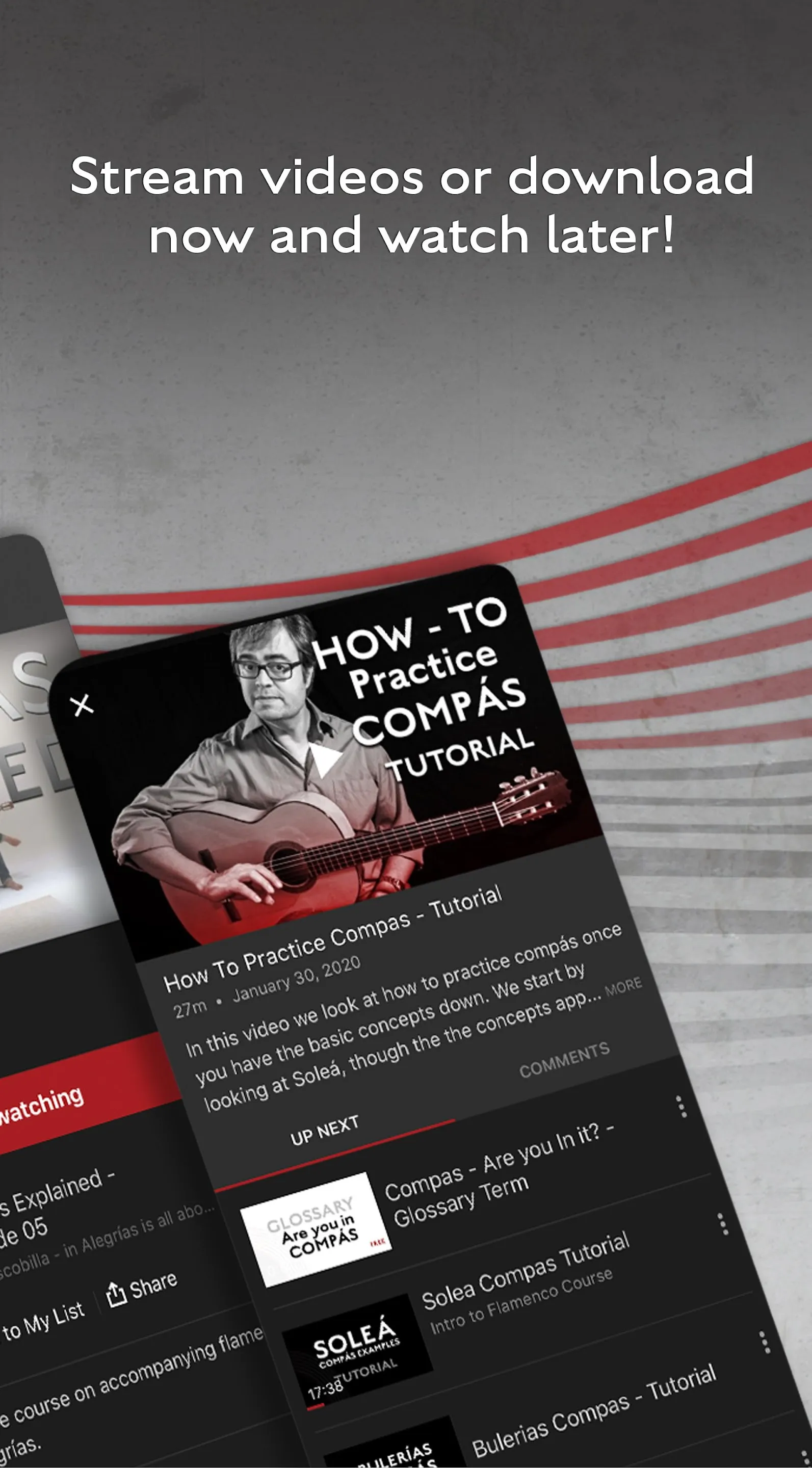 Flamenco Explained | Indus Appstore | Screenshot