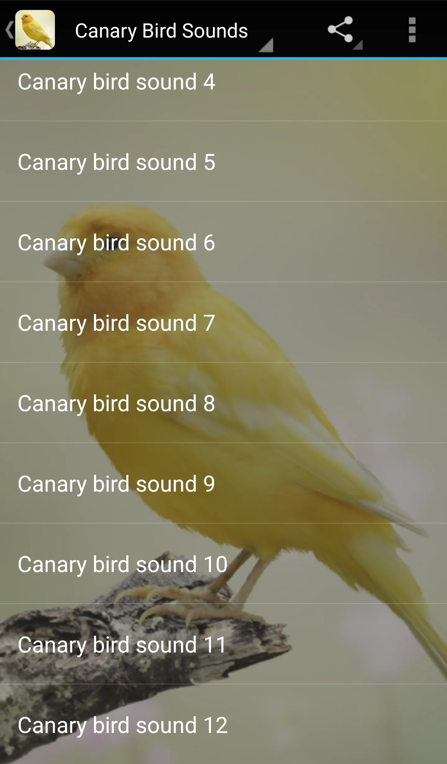 Canary Bird Sounds | Indus Appstore | Screenshot