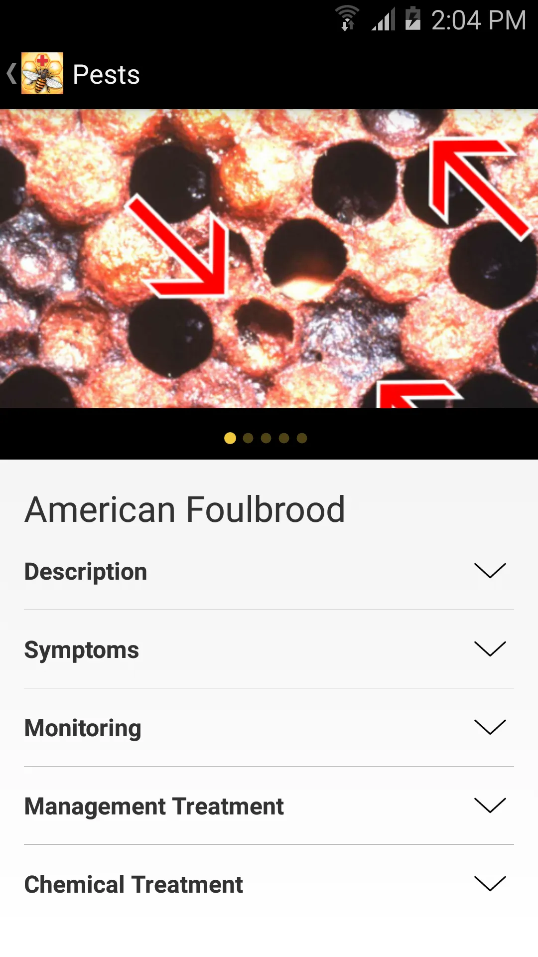 Bee Health | Indus Appstore | Screenshot