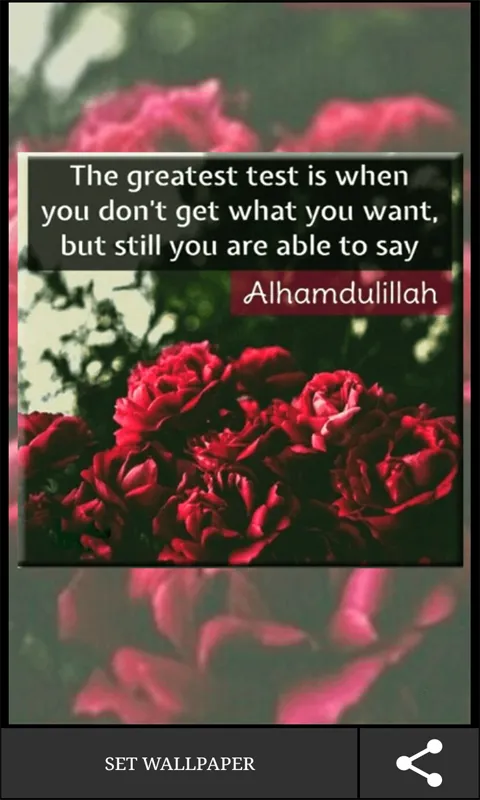 Islamic Truth Quotes | Indus Appstore | Screenshot