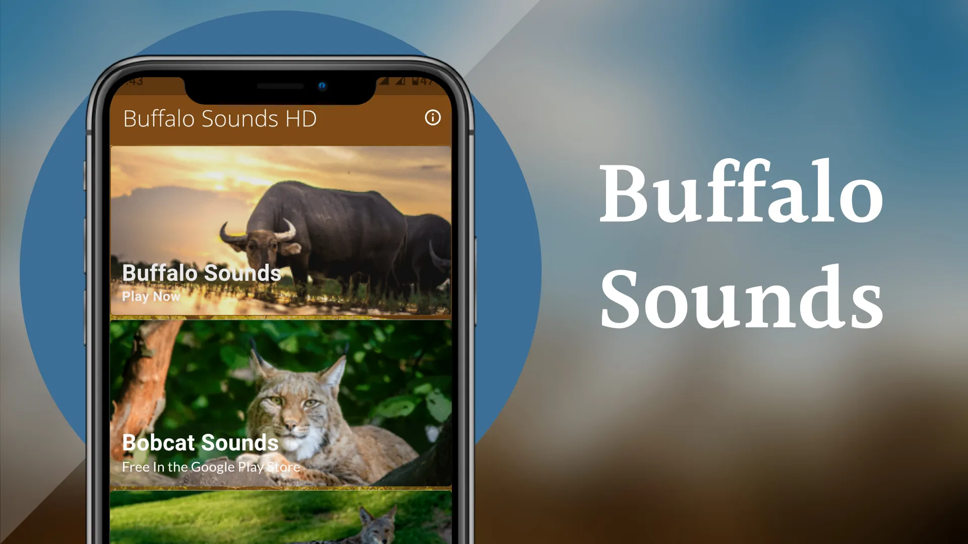 Buffalo Sounds | Indus Appstore | Screenshot