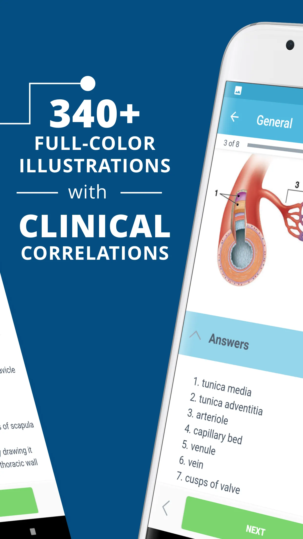 USMLE Clinical Anatomy | Indus Appstore | Screenshot