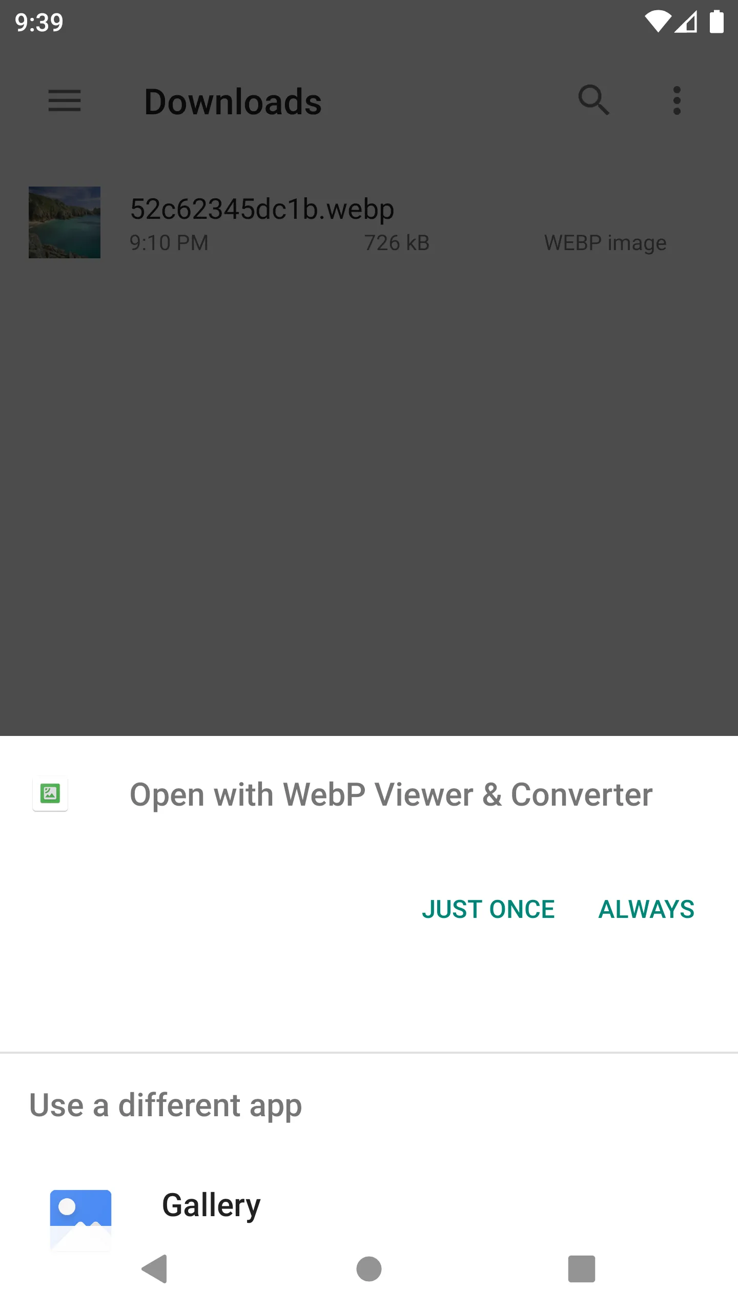 WebP Viewer & Converter | Indus Appstore | Screenshot