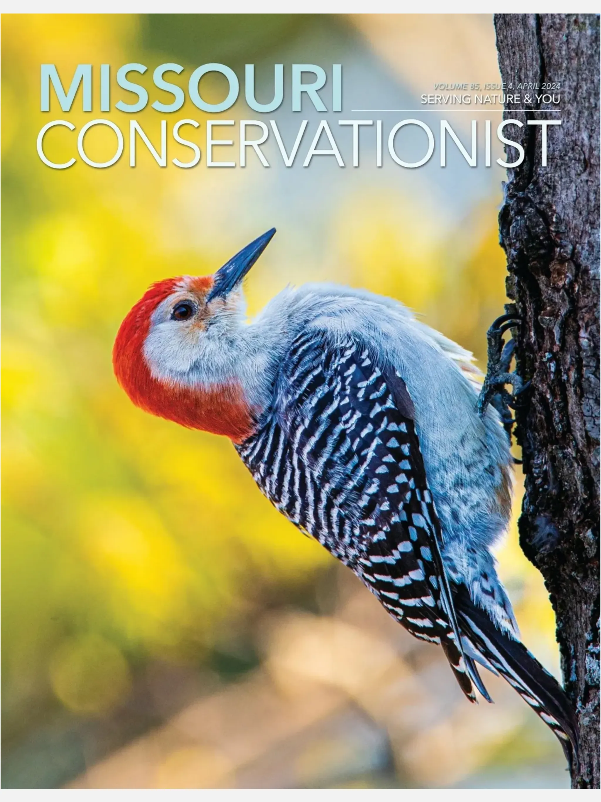 MO Conservationist Magazine | Indus Appstore | Screenshot