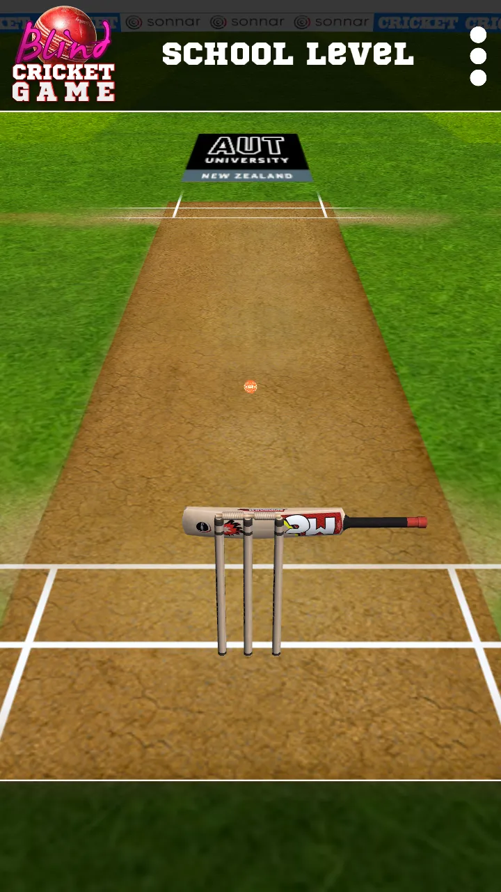 Blind Cricket | Indus Appstore | Screenshot