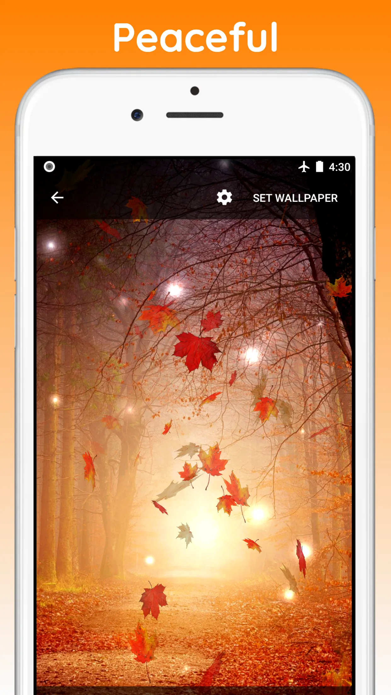 Autumn Live Wallpaper | Indus Appstore | Screenshot