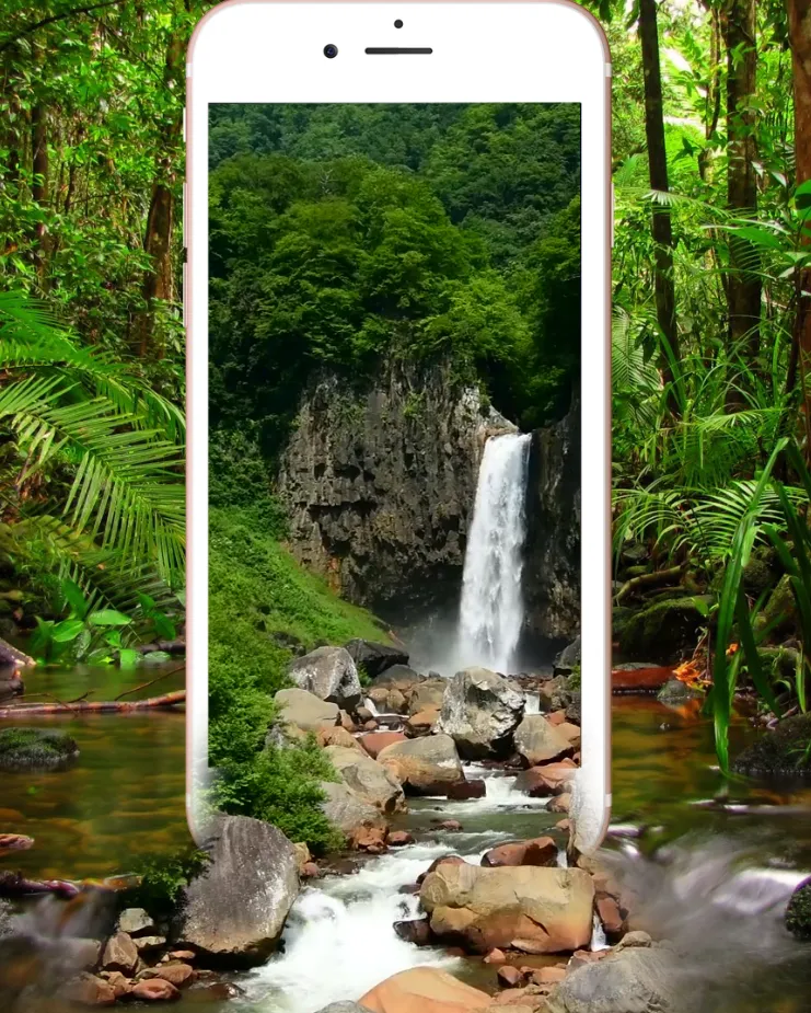 Forest Waterfall Live Wallpape | Indus Appstore | Screenshot