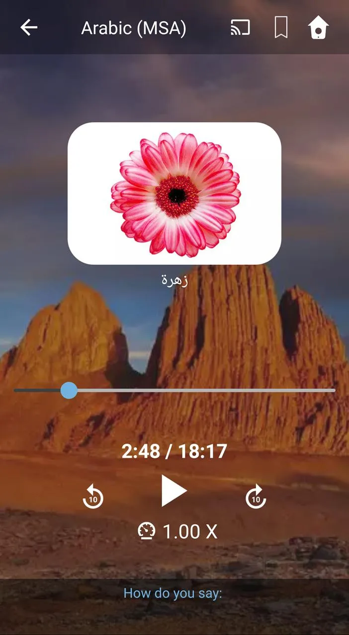 Learn MSA Arabic. Speak MSA Ar | Indus Appstore | Screenshot