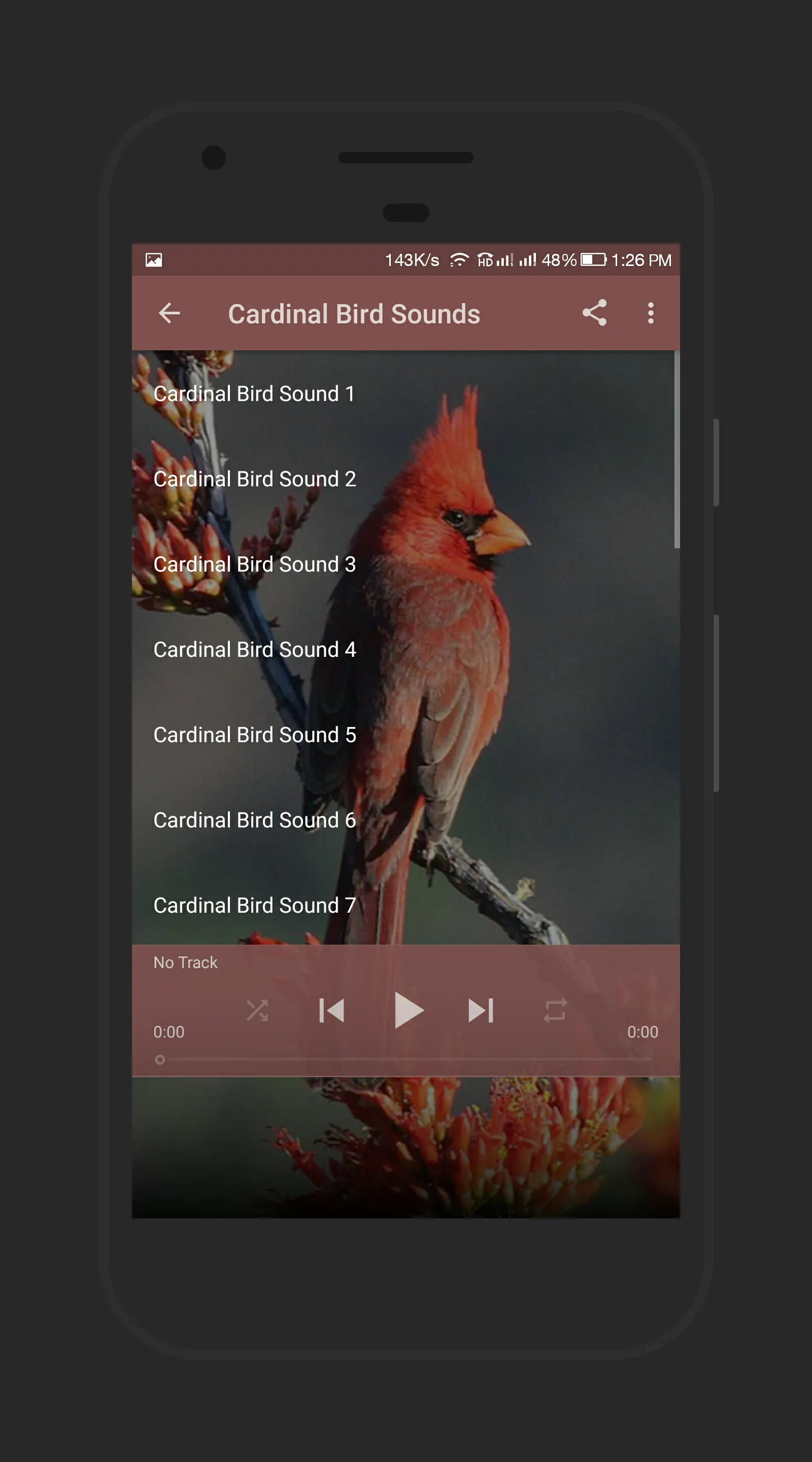 Cardinal Bird Sound | Indus Appstore | Screenshot