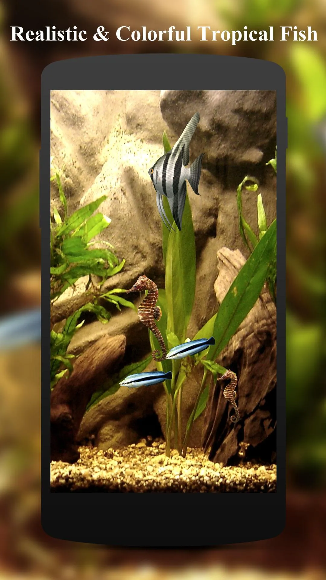 HD Aquarium Live Wallpaper 3D | Indus Appstore | Screenshot