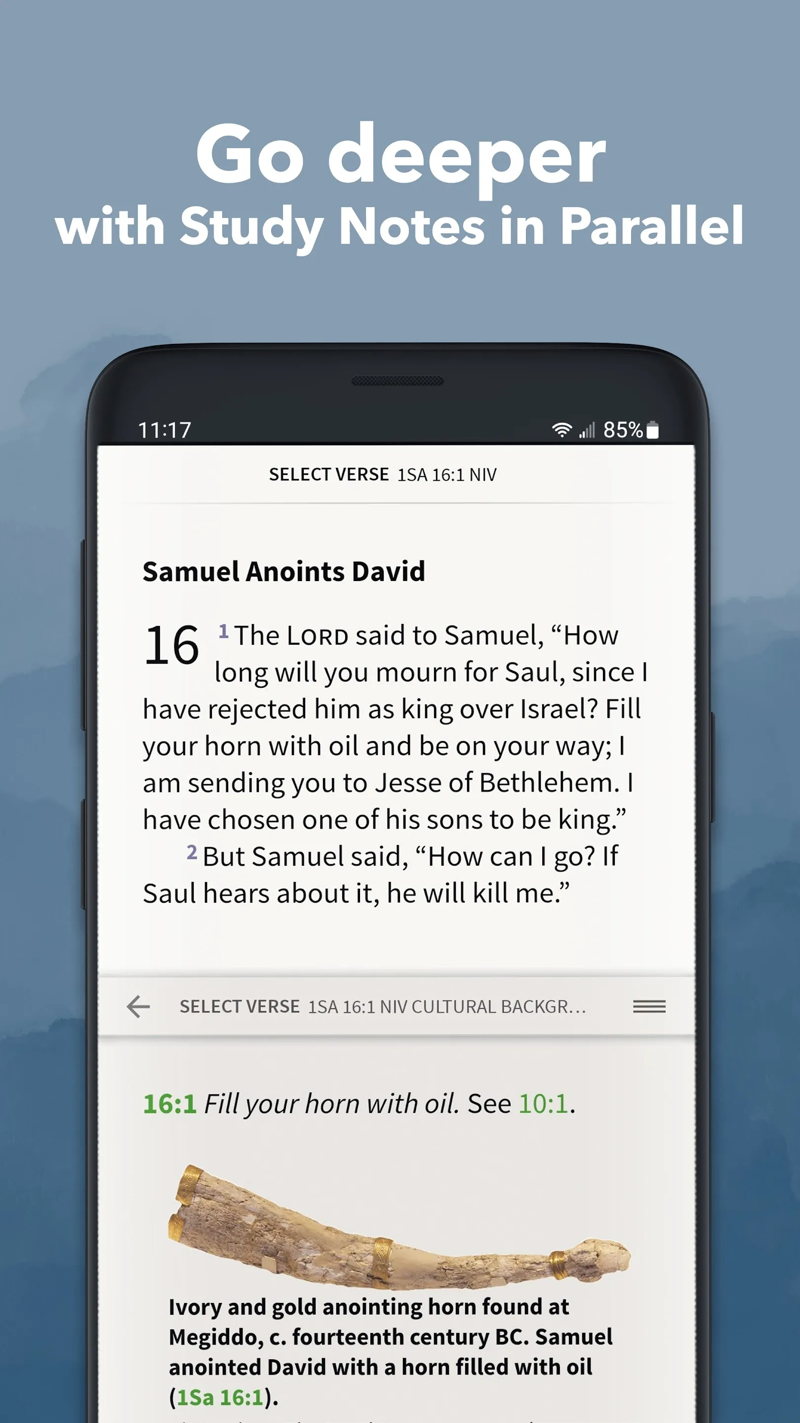 NIV Bible App by Olive Tree | Indus Appstore | Screenshot