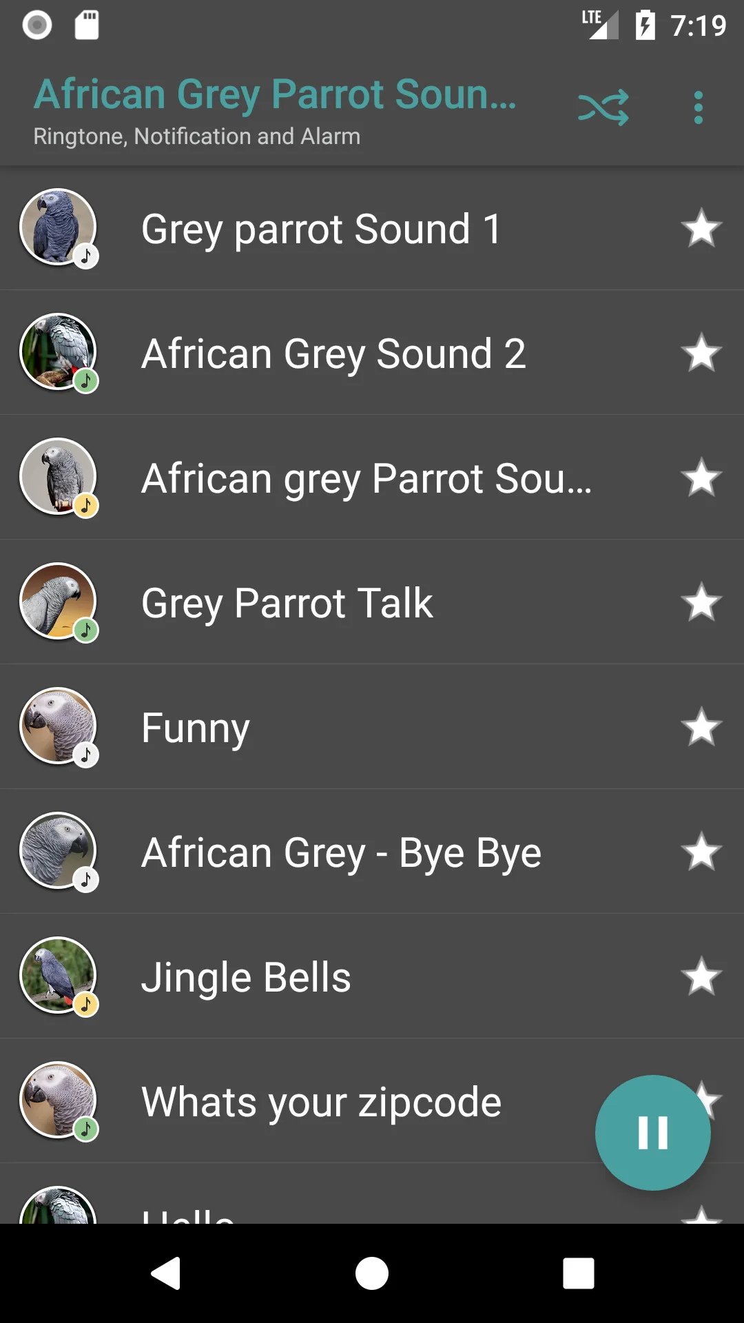 African Grey Parrot Sounds | Indus Appstore | Screenshot